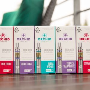 1x0Yg8qRgmfvlaUC1uv8 V2 Packaging