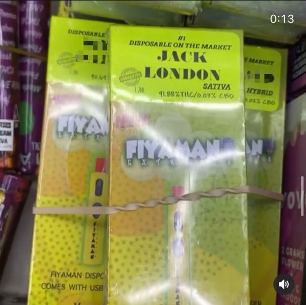 fiyaman disposable