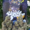 uncle snoop weed strain