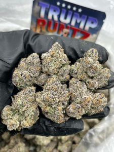 trump runtz weed strain