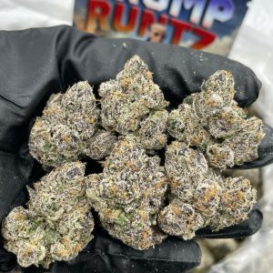trump runtz weed strain