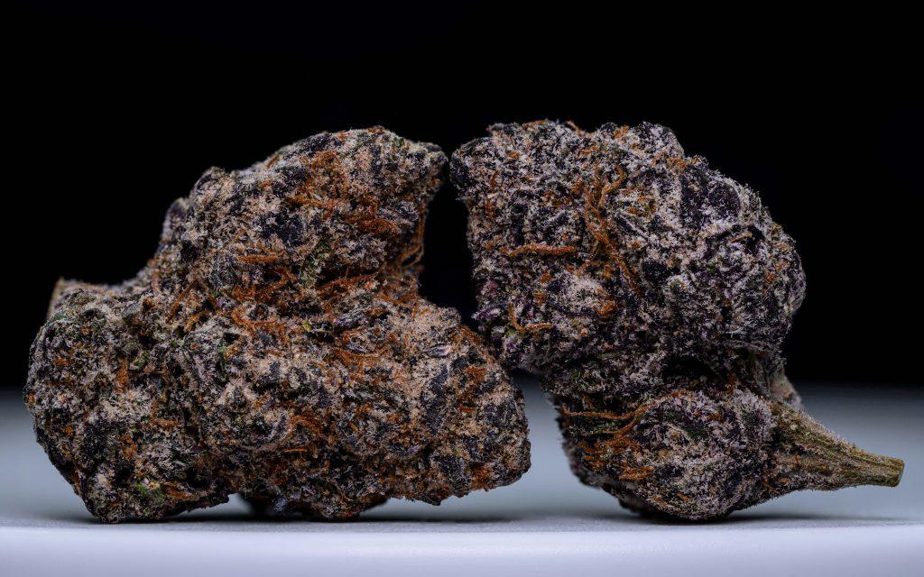 trump runtz weed strain