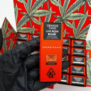 sherbinskis disposable