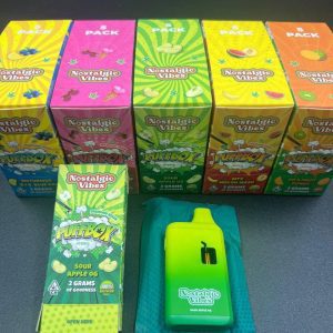 Nostalgic Vibes Disposable