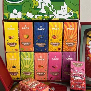 Nostalgic Vibes Disposable