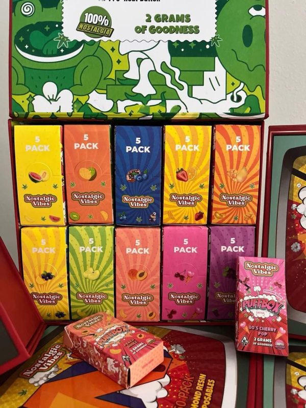 Nostalgic Vibes Disposable