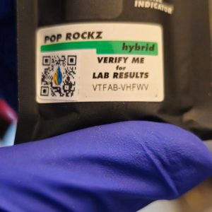 Nottin wetter disposable