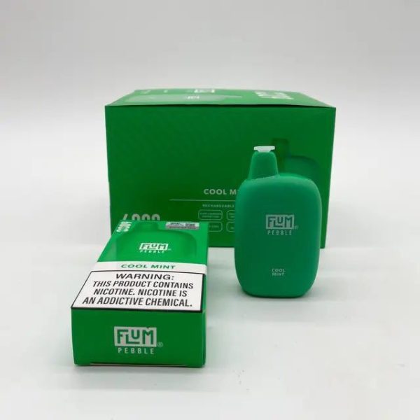 Flum pebble 6000 Puffs