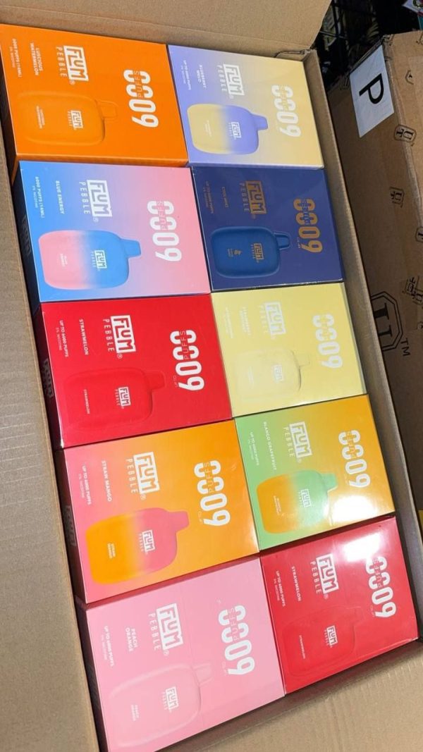 Flum pebble 6000 Puffs