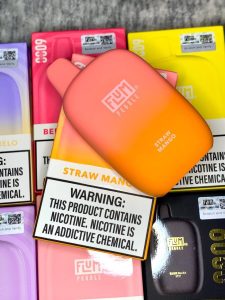 Flum pebble 6000 Puffs