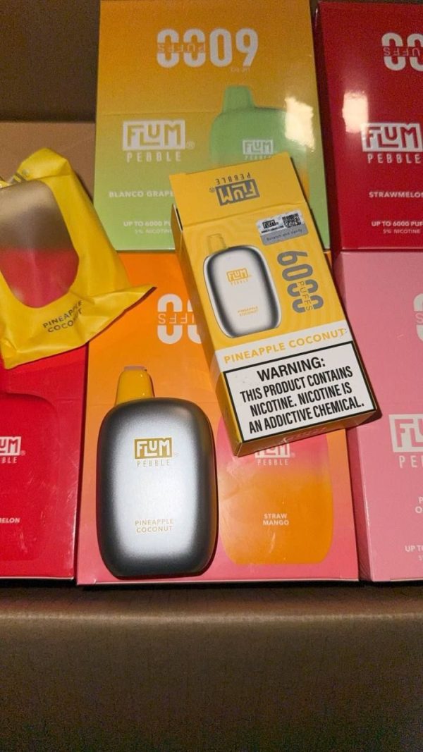 Flum pebble 6000 Puffs