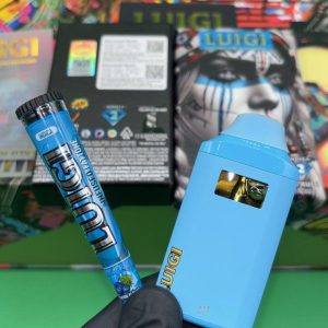 V4 Luigi 2g Disposable