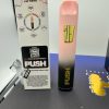 push disposable 2 gram
