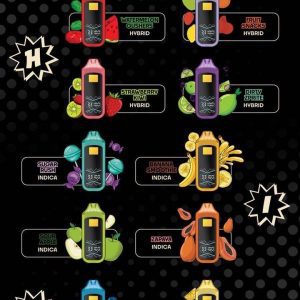 2G Halo Vol III Disposable