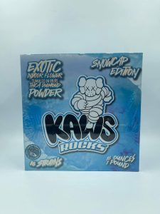Kaws Rocks Snowcap Edition