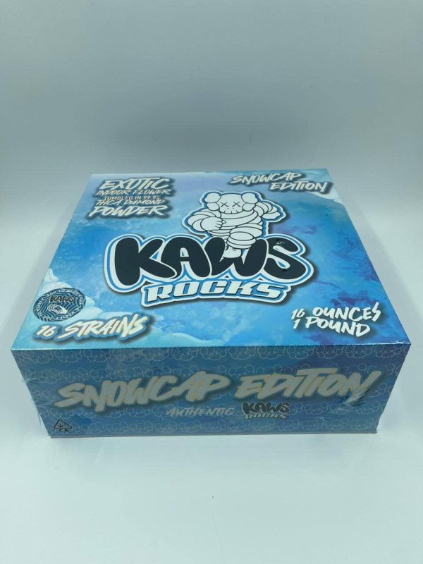 Kaws Rocks Snowcap Edition