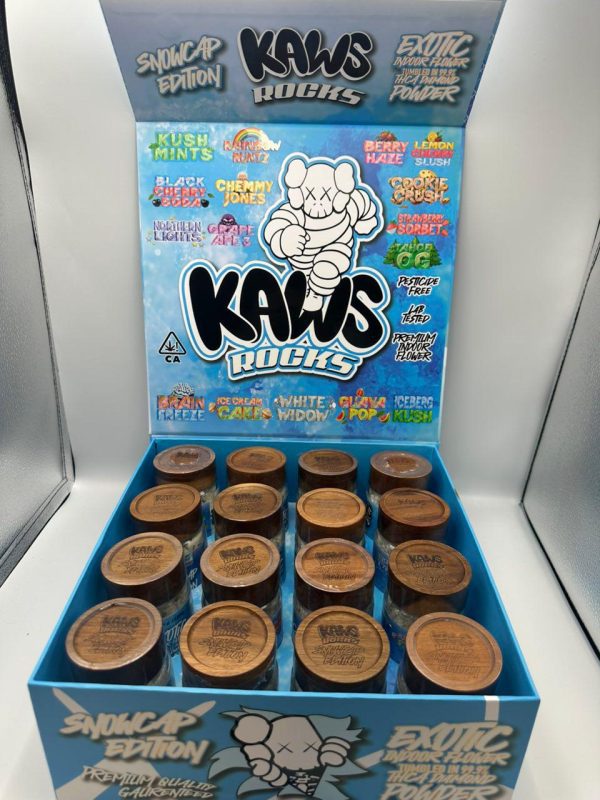 Kaws Rocks Snowcap Edition