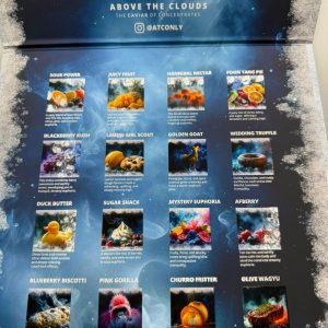 Above The Clouds Snowcaps