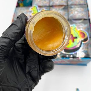 Buddah Bear Concentrate