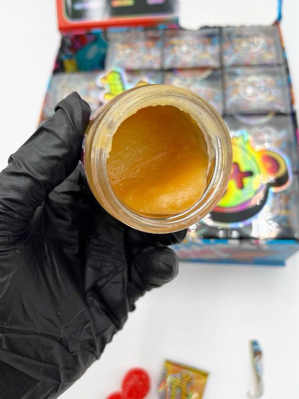 Buddah Bear Concentrate