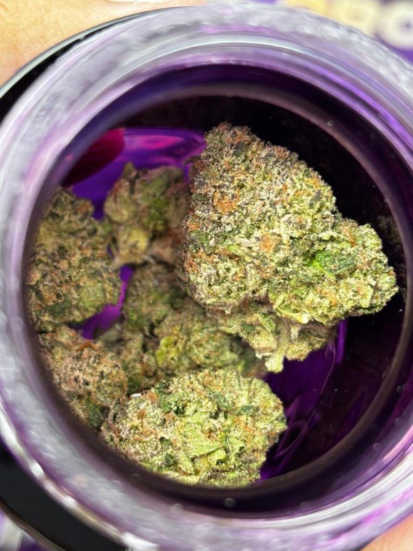 Wizard Trees