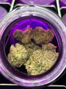 Wizard Trees