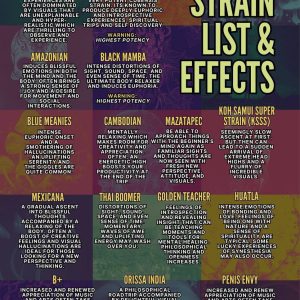 Magic Truffles Chocolate Bars