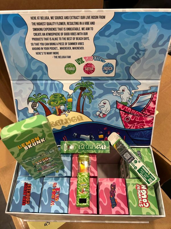  Beluga 3G Disposable 