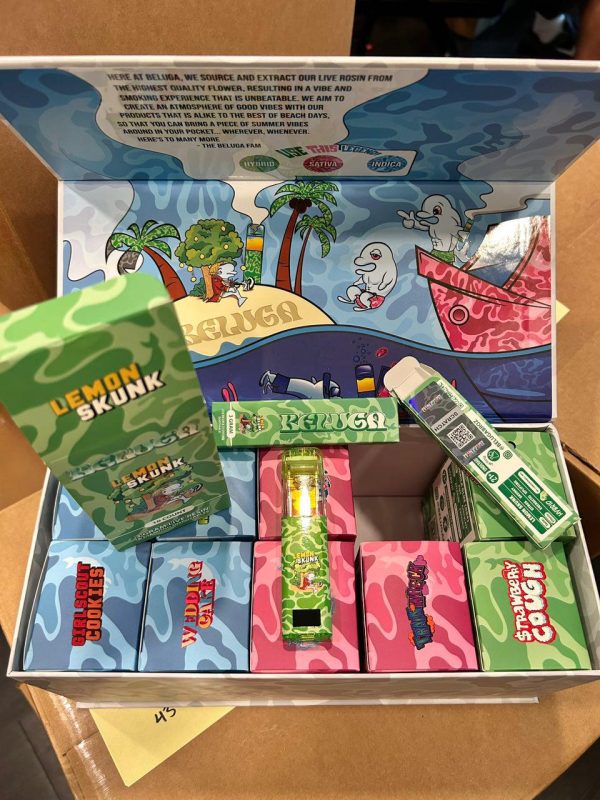  Beluga 3G Disposable 