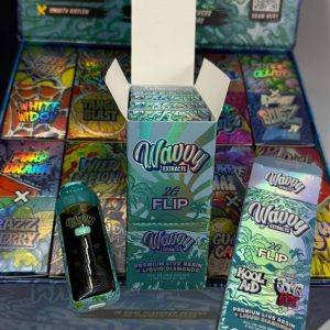 Wavvy 2G Disposable