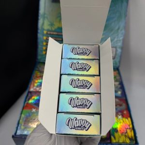 Wavvy 2G Disposable