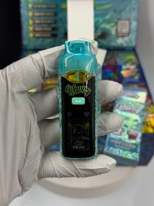 Wavvy 2G Disposable