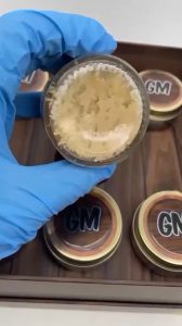 Gas Monkey Extracts Premium Live Resin