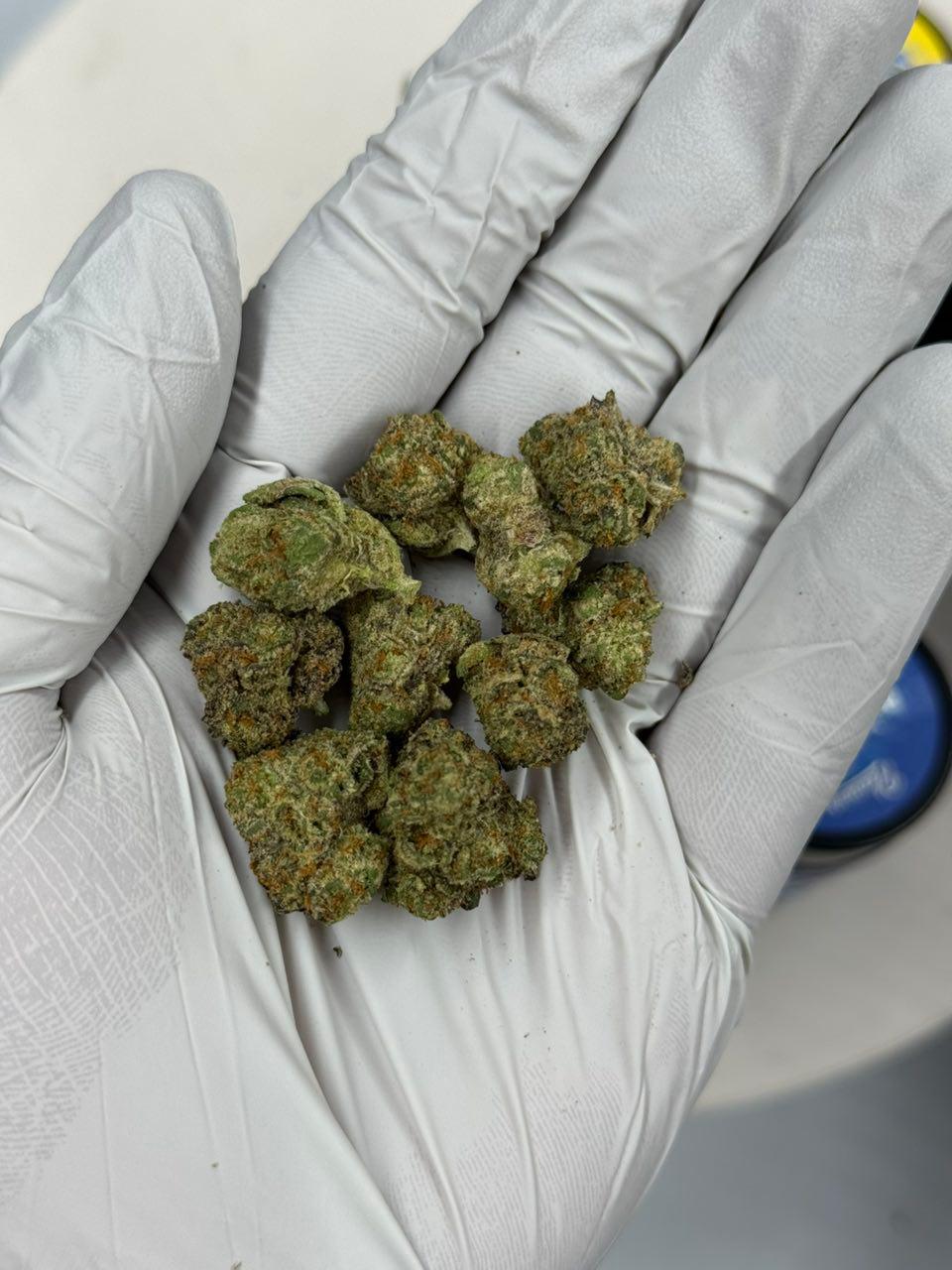 Buy Pleasures Indoor Flower 7g Online WhatsApp Image 2026 02 07 at 4.52.35 AM