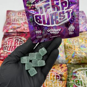 Terp Burst Gummies 800mg