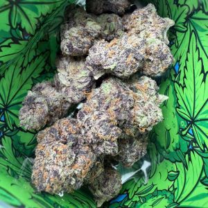 Snooze Pillows Designer Edition Flower