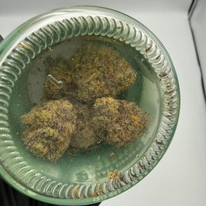 Planta Exotic Cannabis Flower