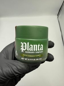 Planta Exotic Cannabis Flower
