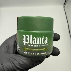 Planta Exotic Cannabis Flower