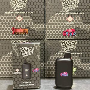 Ware Hause 4G Disposable