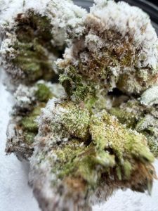 Tux Snowcaps