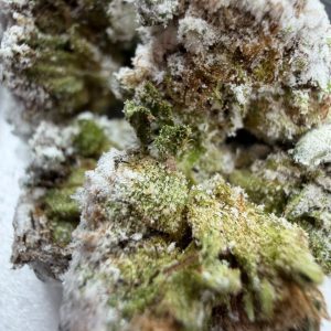 Tux Snowcaps