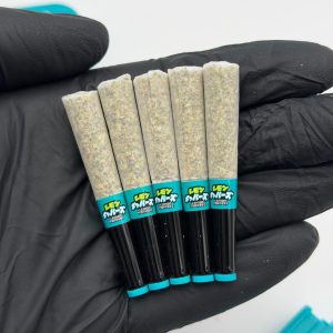 Buy boutiq snack pack pre rolls