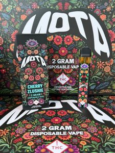 mota disposable vape