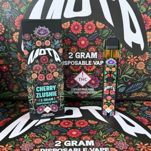 mota disposable vape